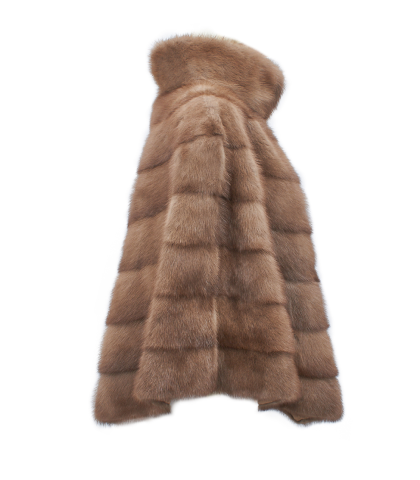 Тренч из Питона